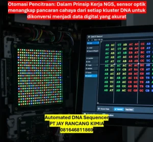 Automated DNA Sequencer