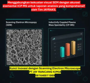 Kunci Inovasi dengan Scanning Electron Microscope