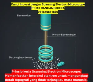 Kunci Inovasi dengan Scanning Electron Microscope