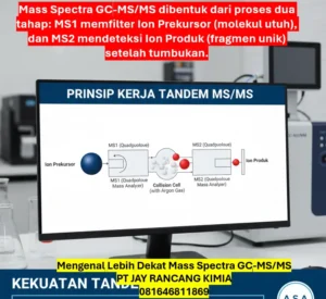 Mengenal Lebih Dekat Mass Spectra GC-MS/MS