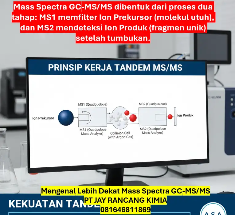 Mengenal Lebih Dekat Mass Spectra GC-MS/MS