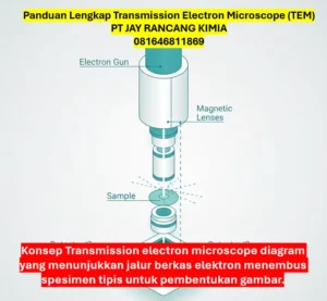 Panduan Lengkap Transmission Electron Microscope (TEM) 