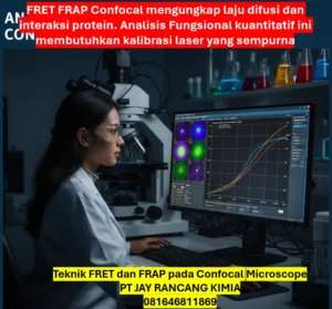 Teknik FRET dan FRAP pada Confocal Microscope