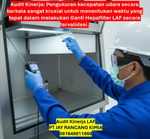 Audit Kinerja LAF