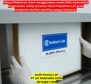 Audit Kinerja LAF