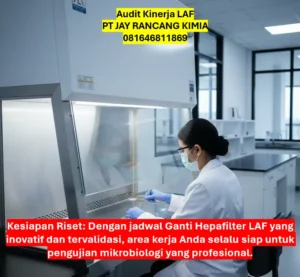 Audit Kinerja LAF