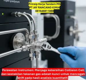 Prinsip Kerja Tandem MS Prinsip Kerja Tandem MS