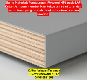 Kultur Jaringan Tanaman Kultur Jaringan Tanaman