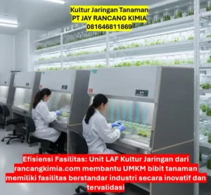 Kultur Jaringan Tanaman Kultur Jaringan Tanaman