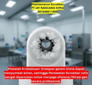 Maintenance Scrubber