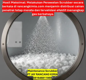 Maintenance Scrubber