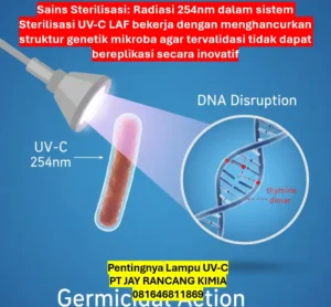 Pentingnya Lampu UV-C